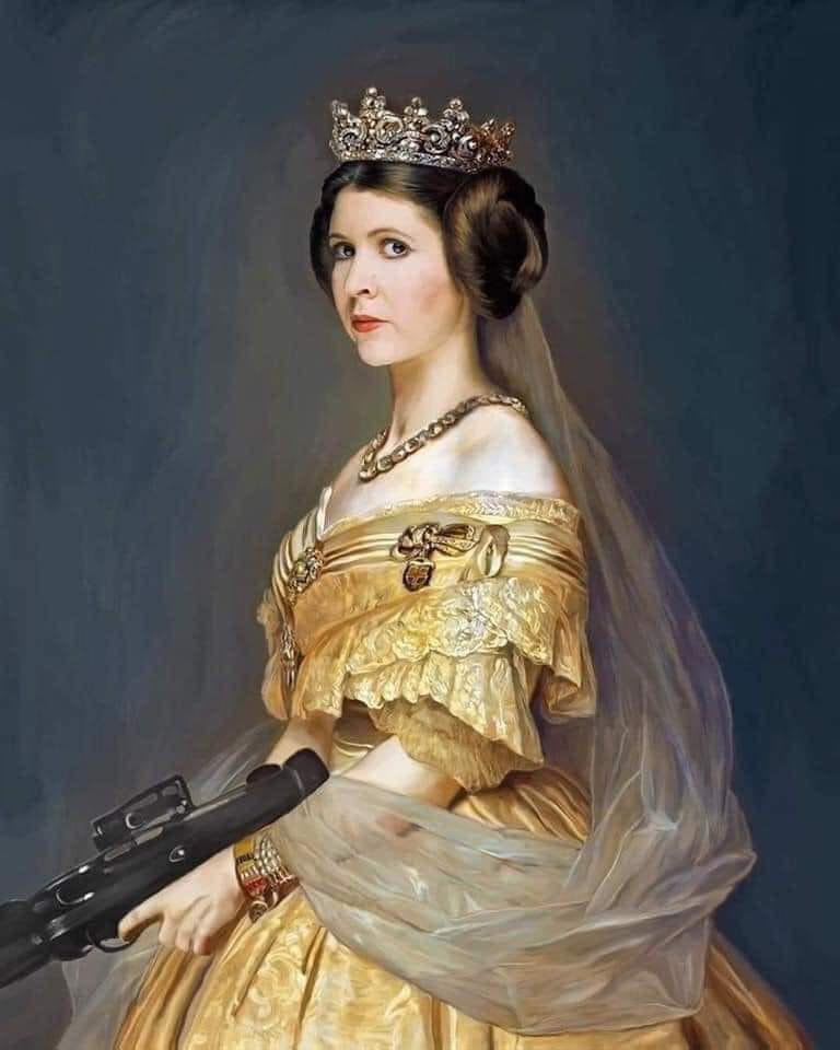 The meme is a photo of Princess Leia from the Star Wars franchise, but with her iconic hairstyle and white robes replaced with a traditional white wedding dress and a blaster instead of a bouquet. The image is captioned "May the farce be with you" and "Princess Leia: I don't know how I let myself get married to a guy who loves the dark side so much. I mean, I know he's got a lot of baggage, but I didn't know he was a Sith Lord."